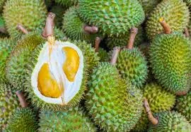 durian.jpg