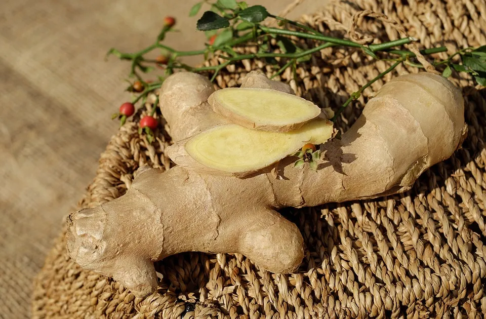 Ginger.jpg