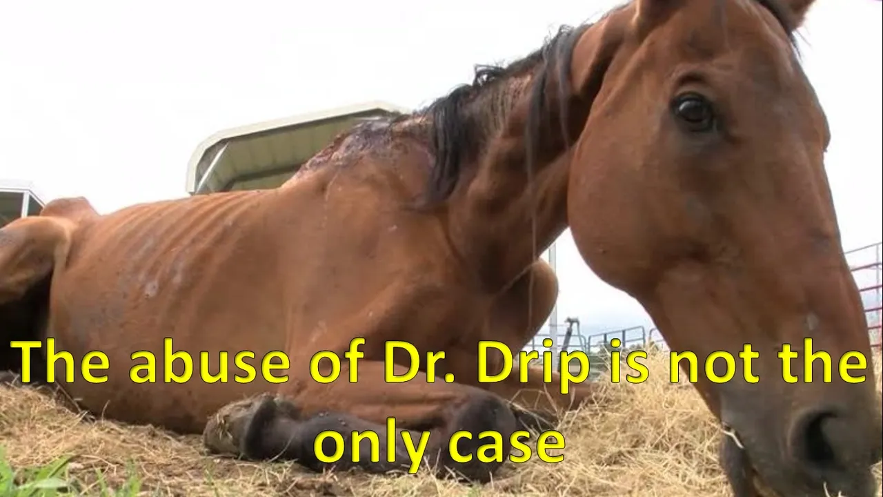 DrDrip.jpg