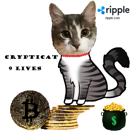 9lives.gif