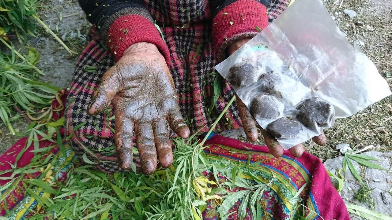malana.jpg