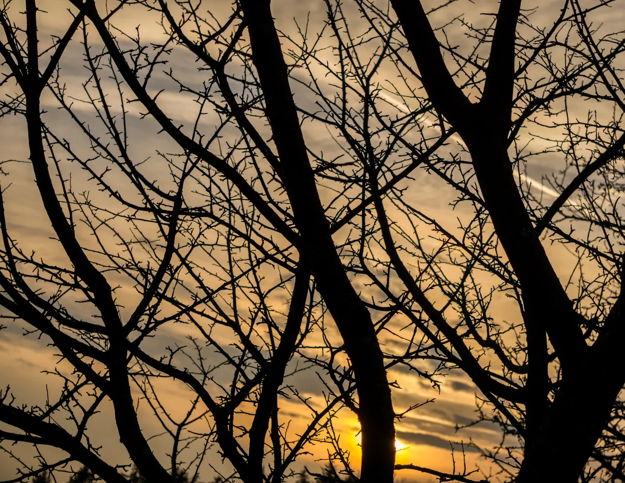 sunset.jpg