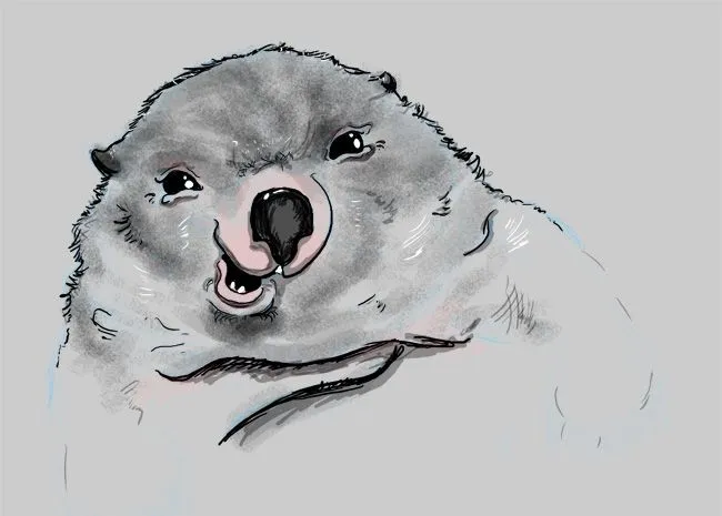 wombat.jpg