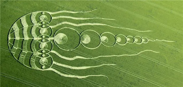 meduza.jpg