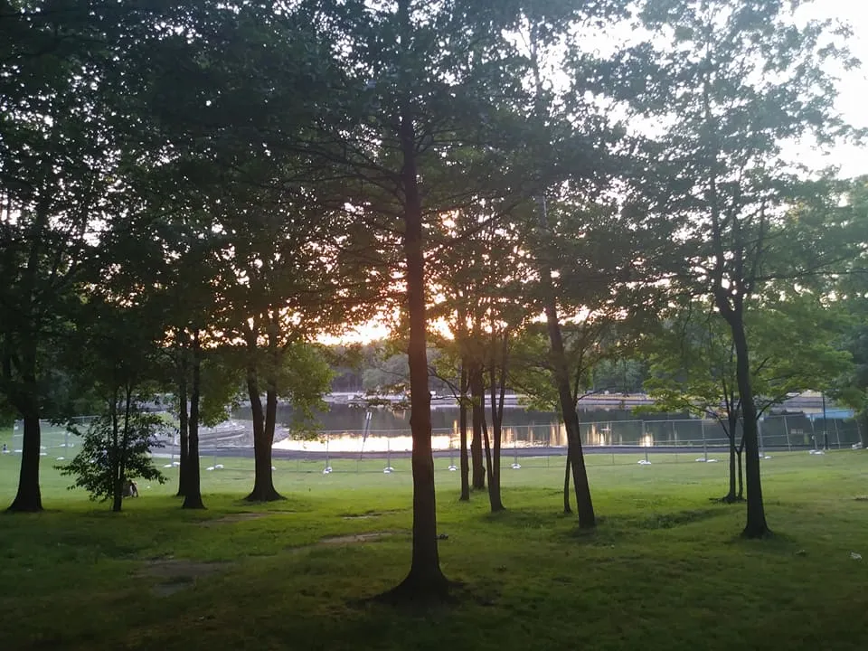 11park.jpg