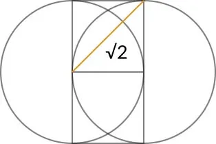 root-2.jpg