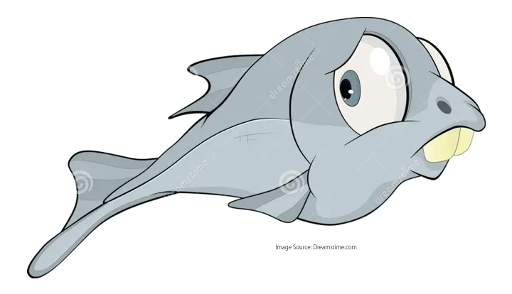 minnow.png