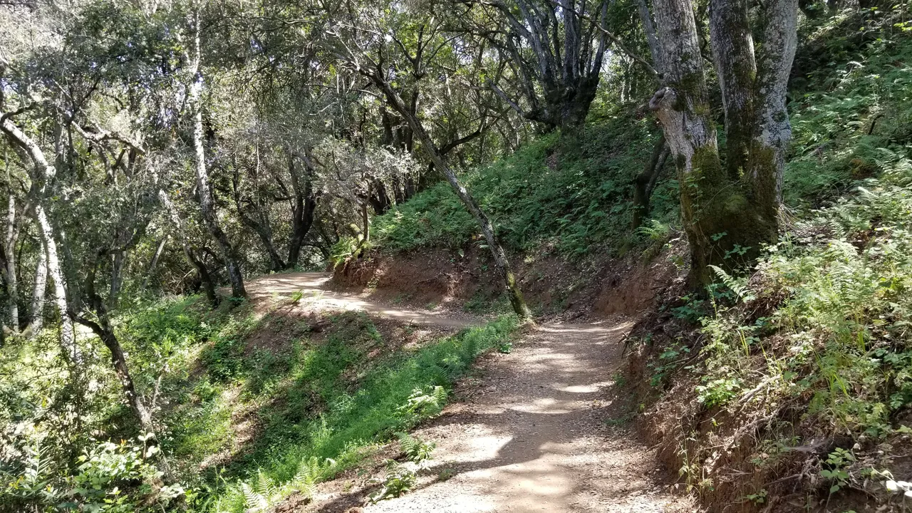 trail1.jpg