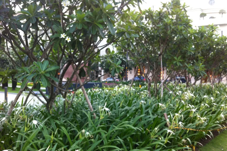 Photo3.jpg