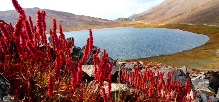 deosai.png