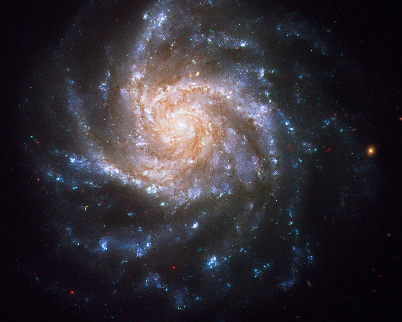 galaxy.jpg