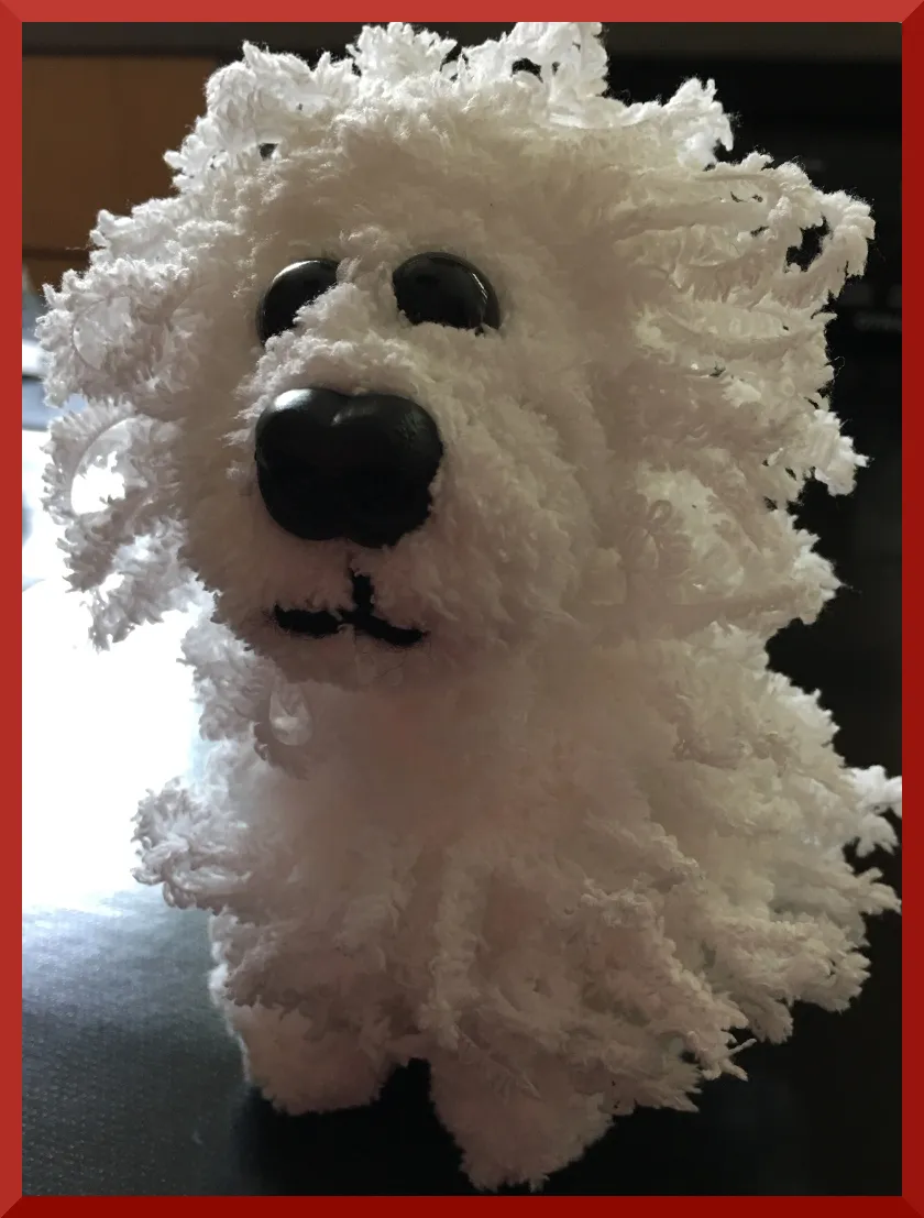 bichon.JPG