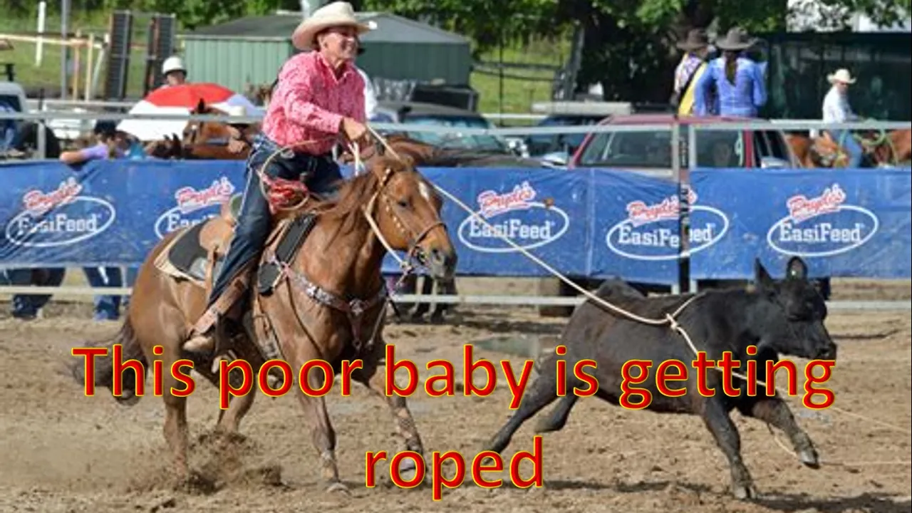 Roping.jpg