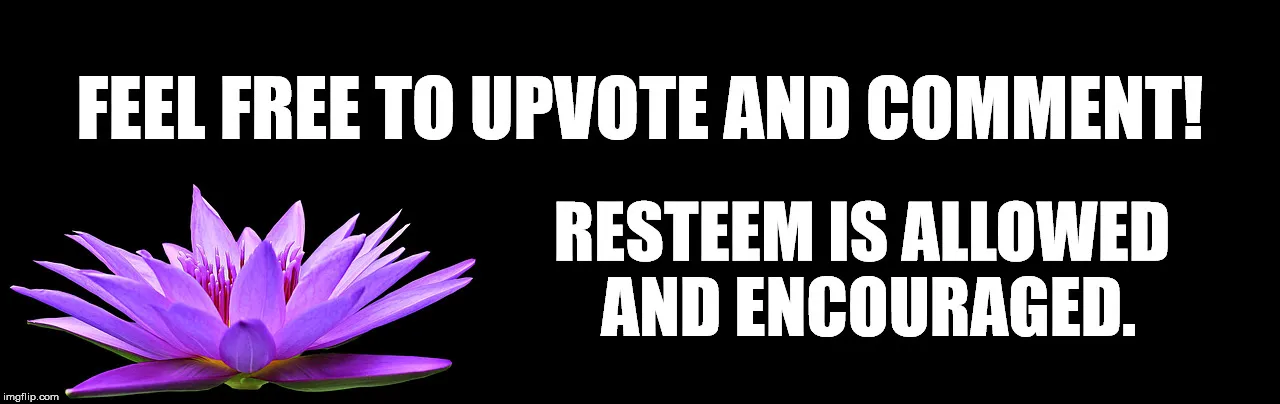 25omsr.jpg