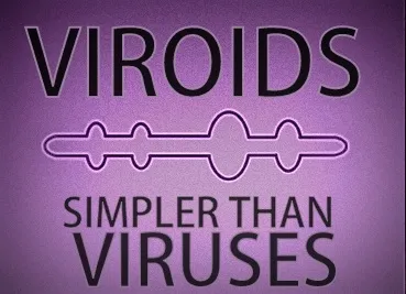 viroid.jpg