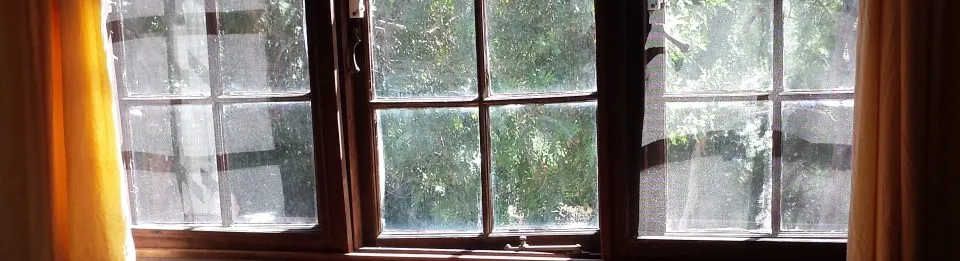 window.jpg