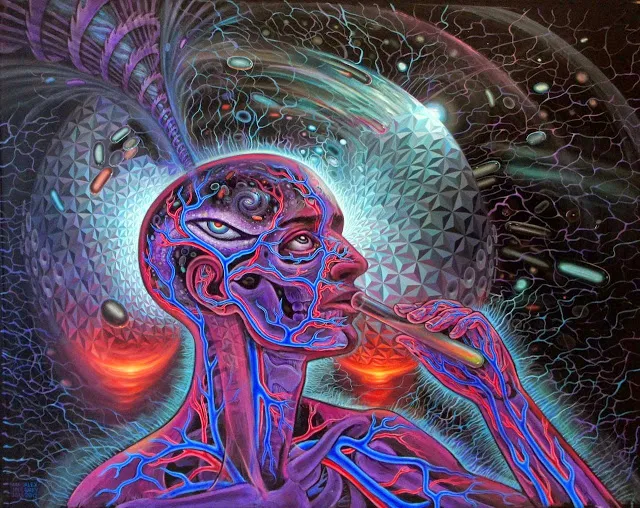 DMT-AG.jpg