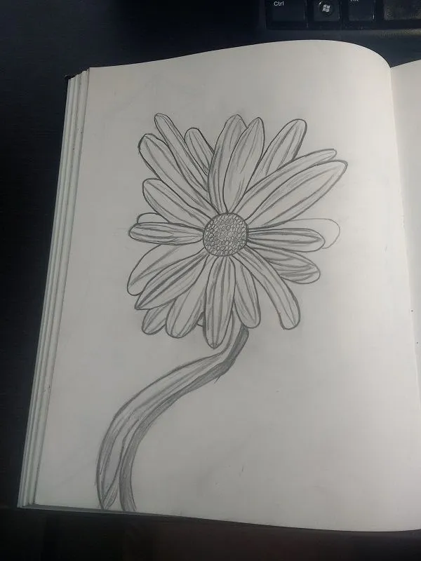 flower.jpg