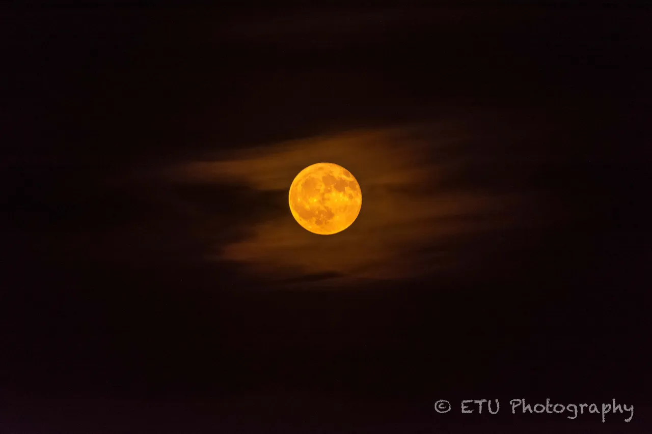 moon-1.jpg