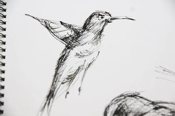Bird01.jpg