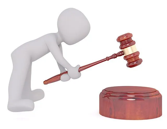 judge1.jpg