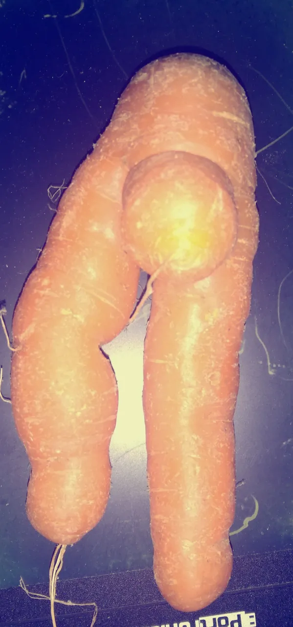 carrot.jpg