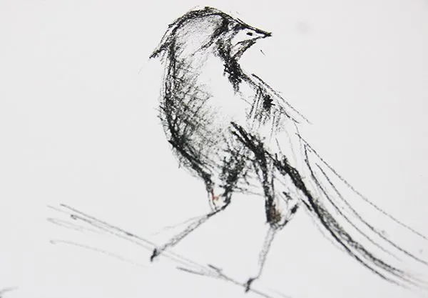 Bird02.jpg
