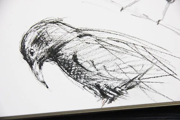 Bird03.jpg