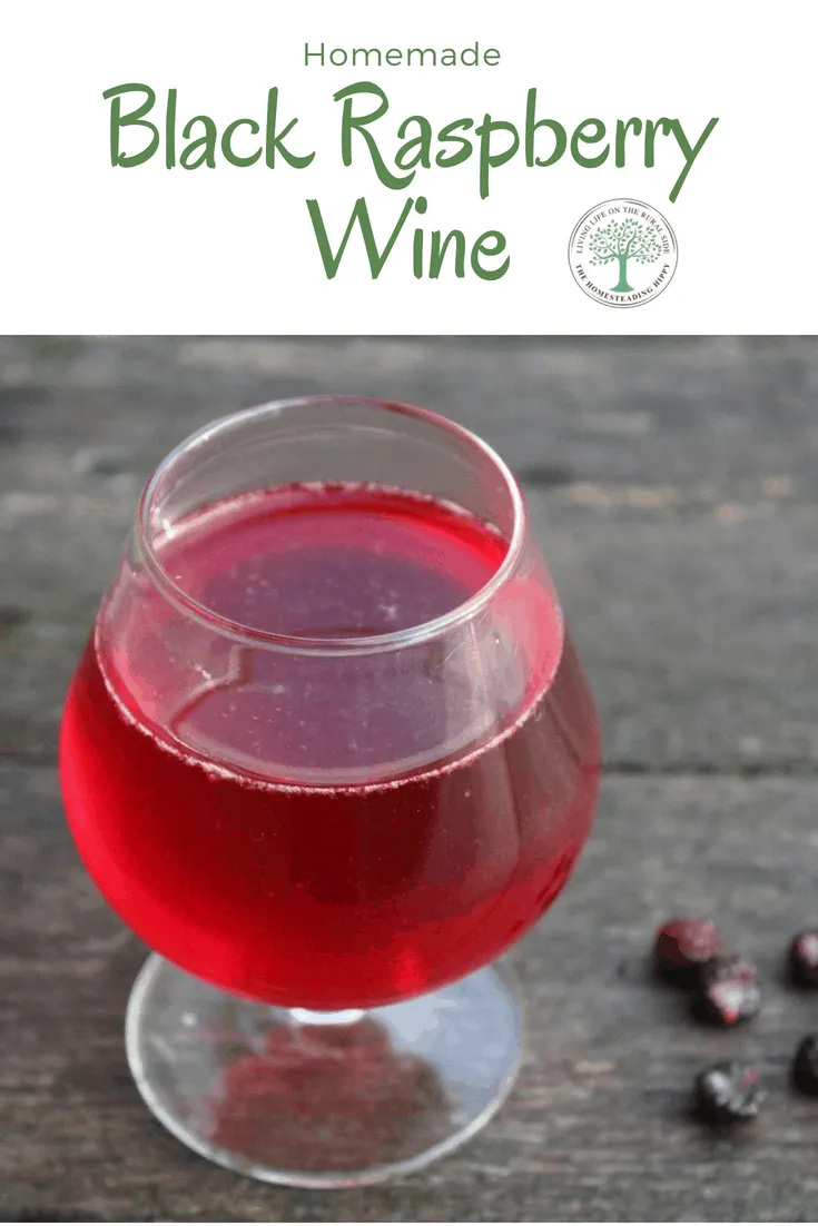 Black Raspberry Wine is easy to make at home, and doesn't require a lot of special equipment. Learn how to make your own today!Â