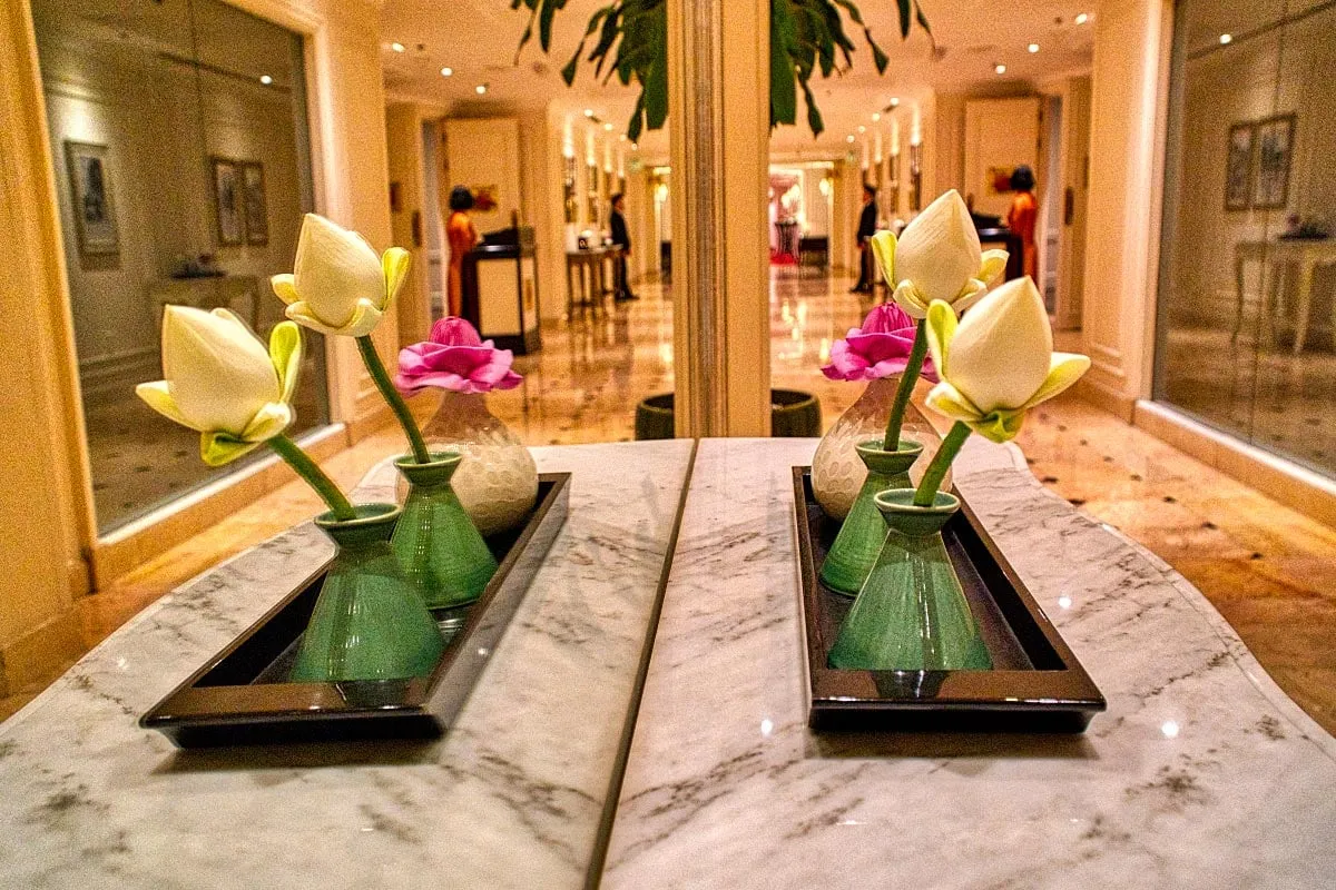mirror reflection
