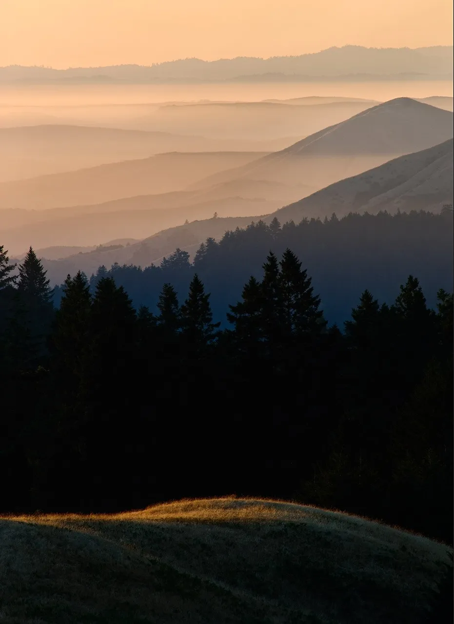 Bolinas Ridge in Mist