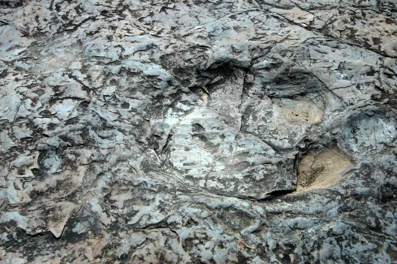 Destination: Petroglyphs in Cheonjeon-ri (Ulju, Ulsan) ()