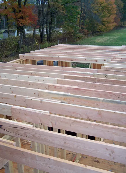 Construction - laundry, pantry bedroom ceiling joists up2 crop October 2019.jpg