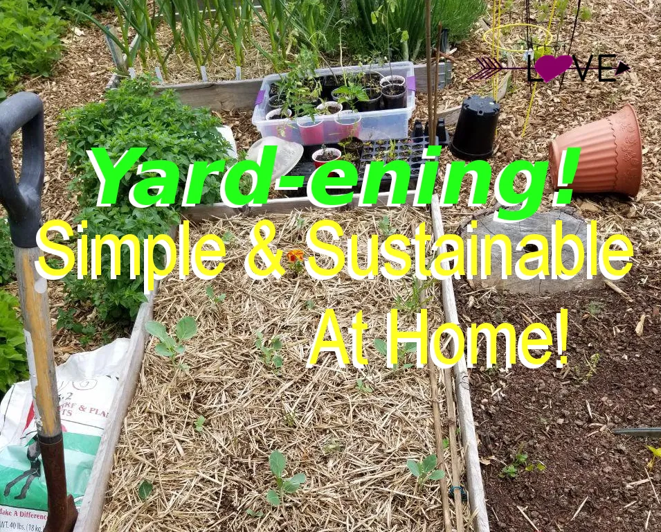 Yardening Home Garden DIY Easy Sustainability ARTOFLOVE IntuitiveJakob Martinez.png