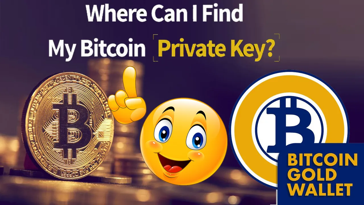 How To Find Private Key in Bitcoin Gold Core Wallet by Crypto Wallets Info.jpg