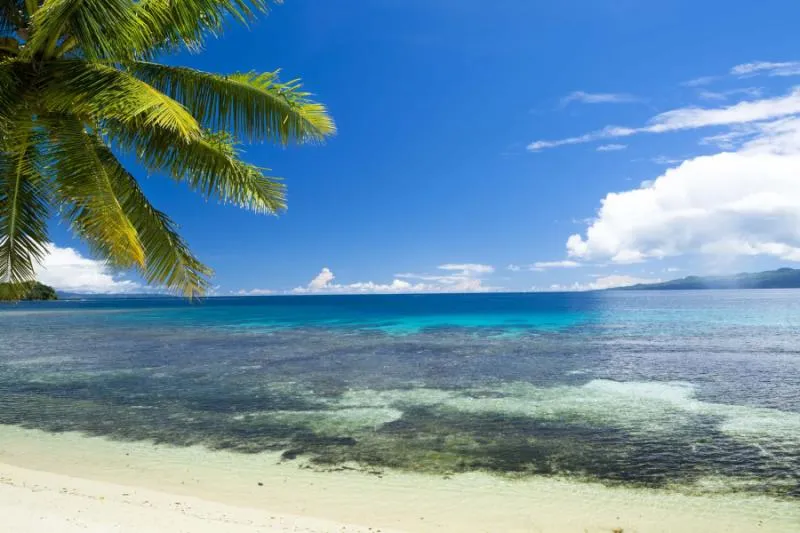 fiji_a_white_sand_tropical_beach_with_lush_green_palm_trees_line_turquoise_water_and_a_big_blue_sky.jpg