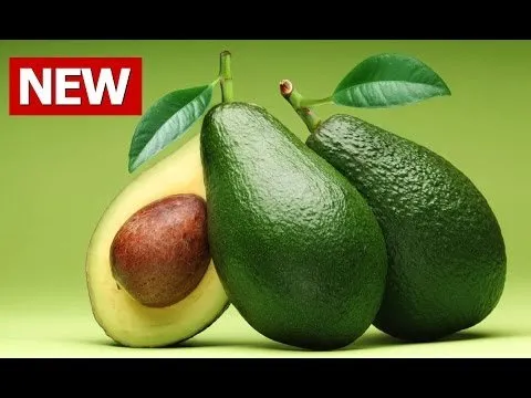 Top 10 Avocado Health BenefitsIMAGE ALT TEXT HERE