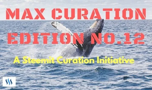 Max Curation Edition