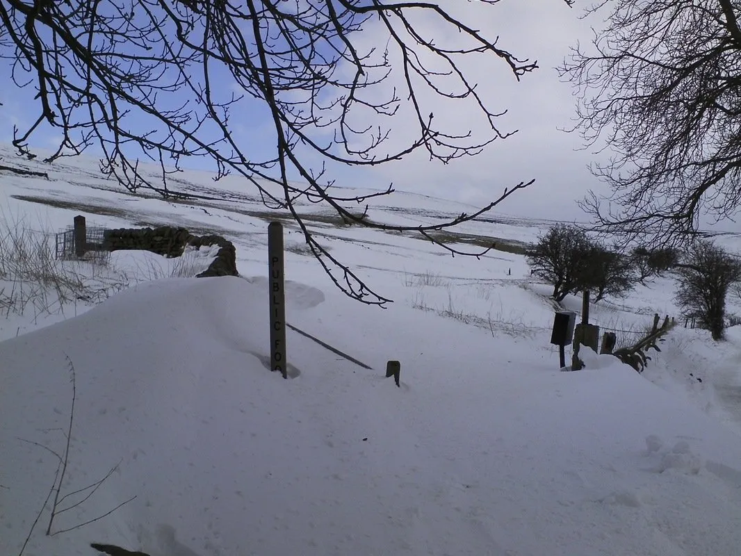 Snow way