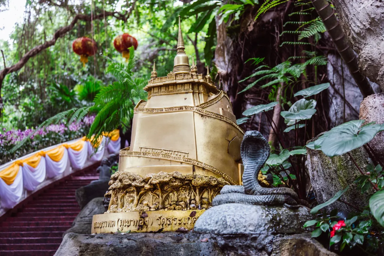 clixra4ke00jr6jsz436odnel_thailand-2496.webp