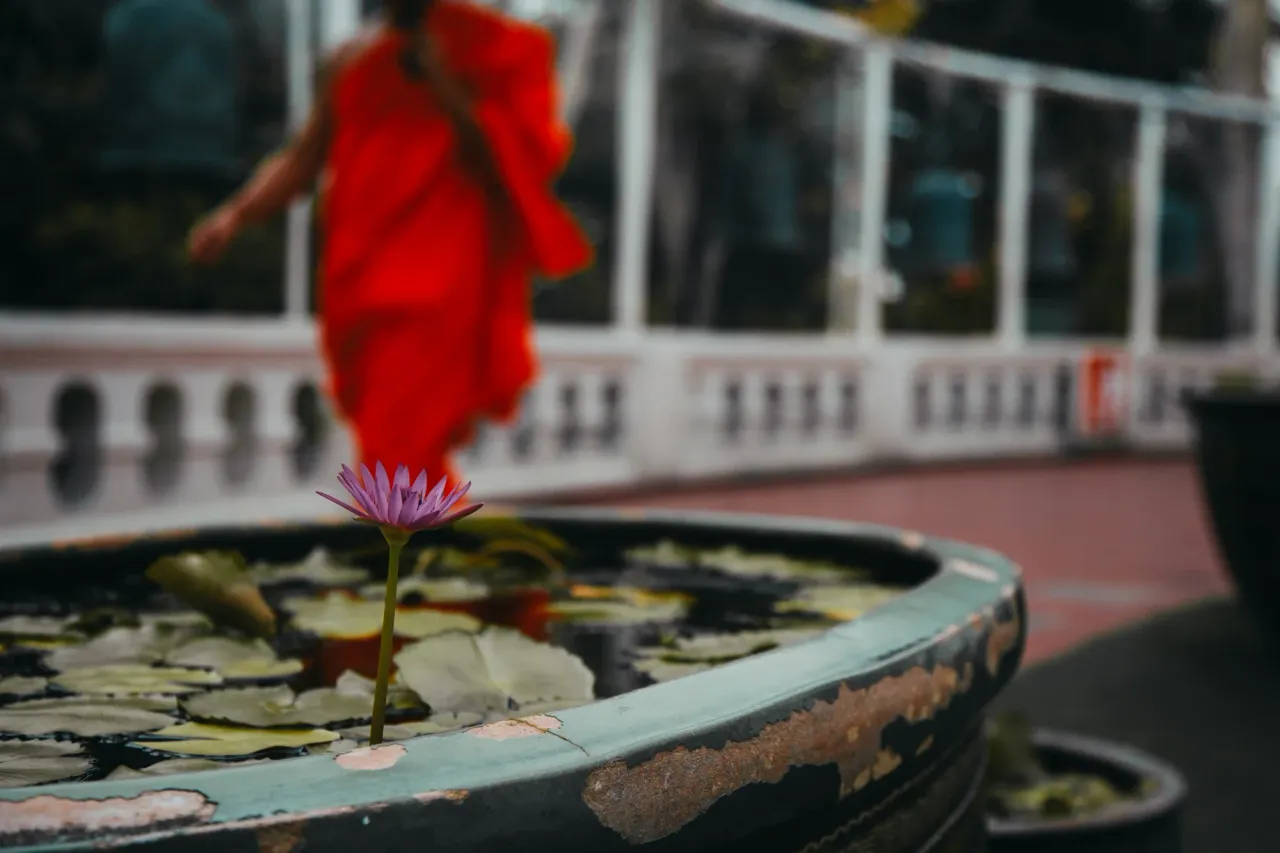clixra5w100in3wsz1f247lxz_thailand-2511.webp