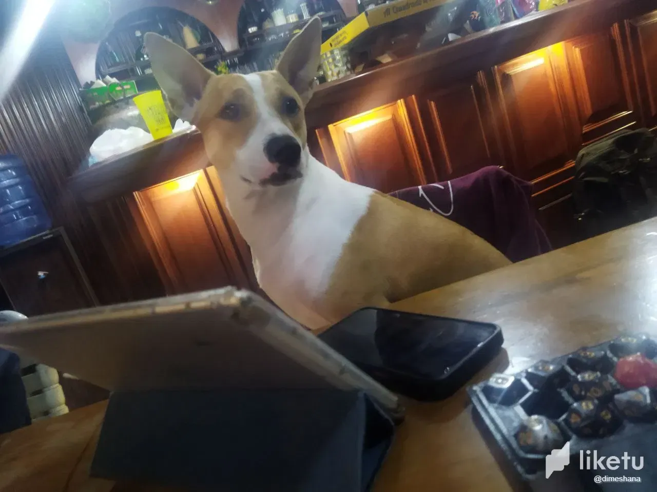 qJsePs20u8ICUqWX_photo_2024-12-11_11-48-04.webp