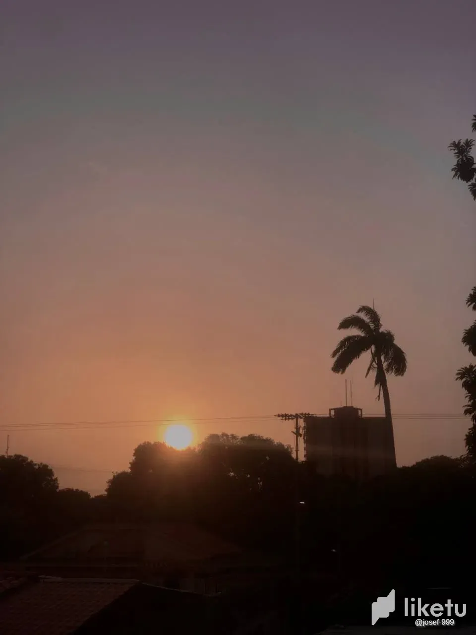 OA2NOJXXiQzQgB6O_photo_2024-07-12_14-09-18.webp