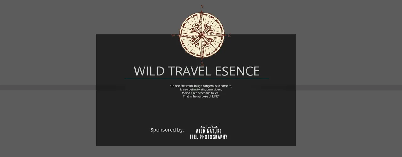 WILD TRAVEL ESENCE bannerMesa de trabajo 1.jpg