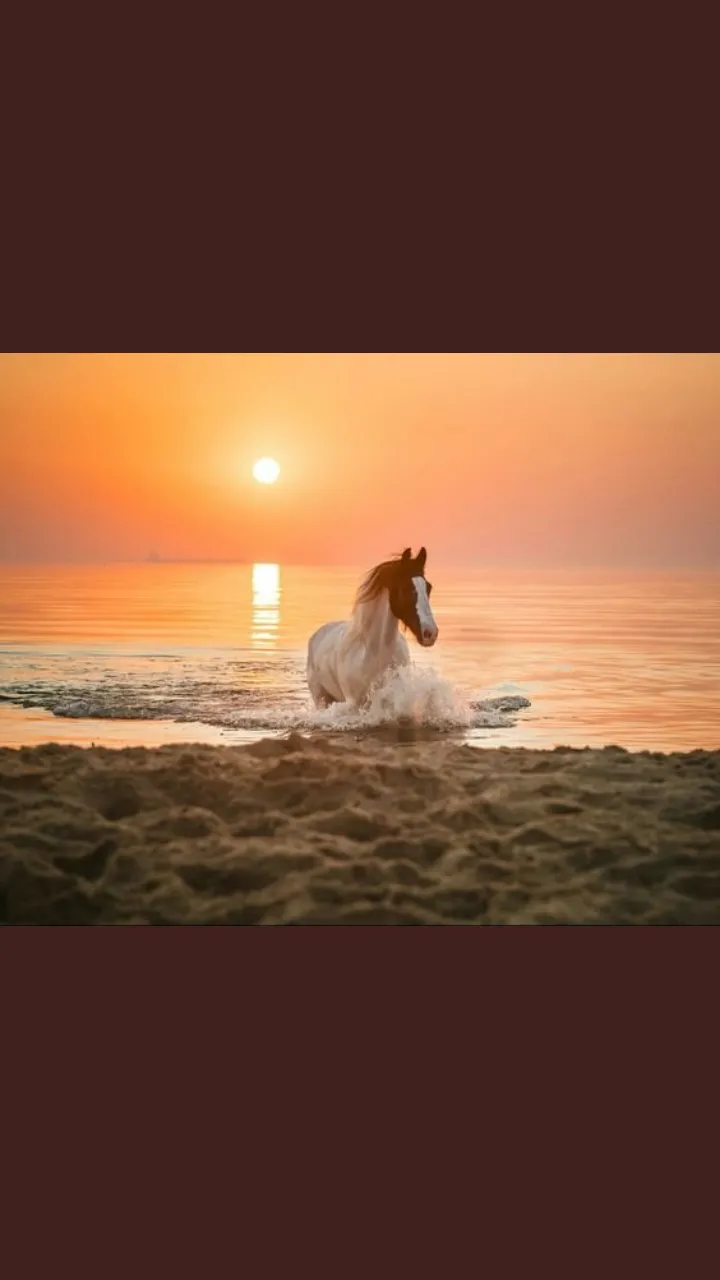 Screenshot_2018-08-09-14-03-36-507_.png