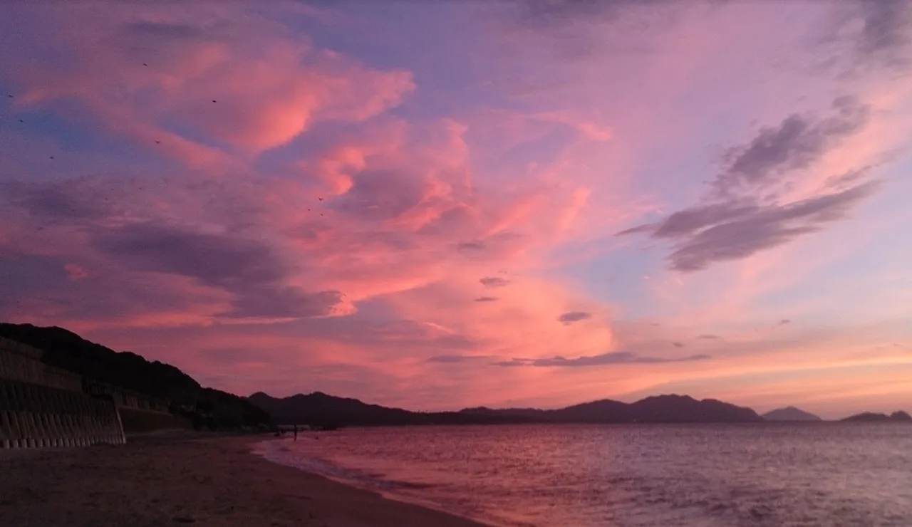 近所の夕焼け.png
