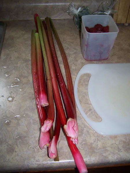 Strawberry Rhubarb Sauce  ingredients crop June 2018  Copy.jpg