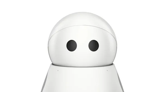 Image result for Kuri the robot