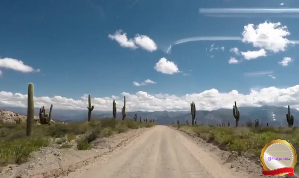 04.-The-National-Parks-of-Argentina-Los-Cardones-(Salta)-15.png