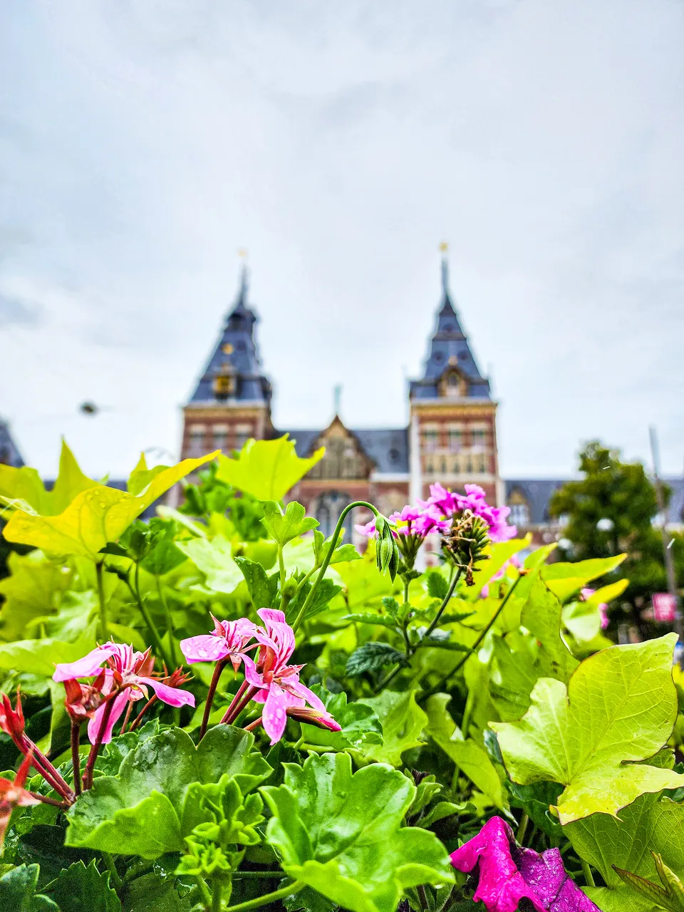 Exterior View of Rijksmuseum with Garden